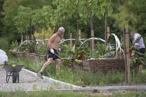 Partenariat avec l'association des Jardins familiaux