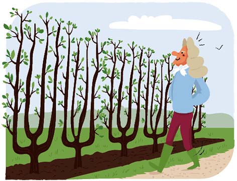 Vauban jardinier : illustration Parc de la Pyramide