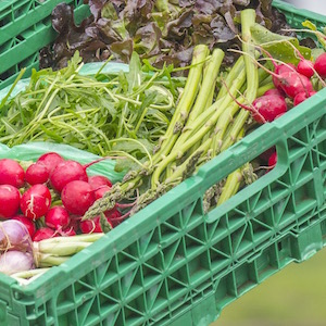 Marché frais AMAP