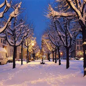 Plan de déneigement des rues