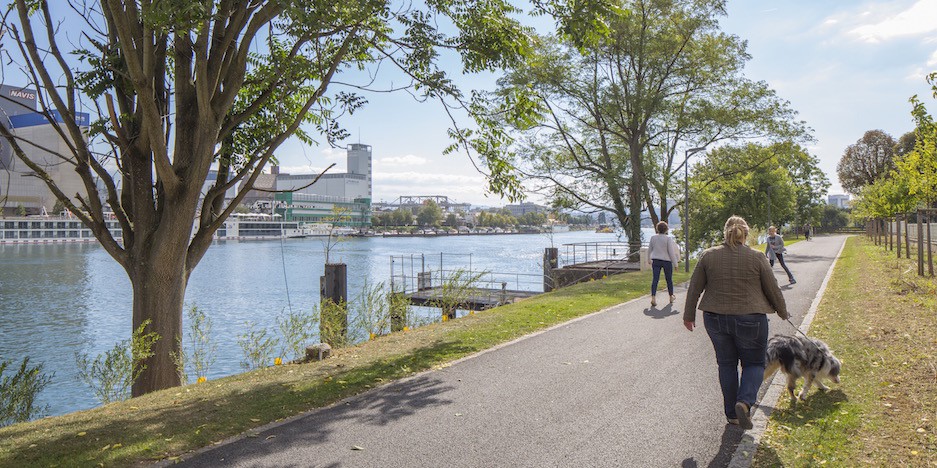 Promenade voie verte à Huningue, le long du Rhin