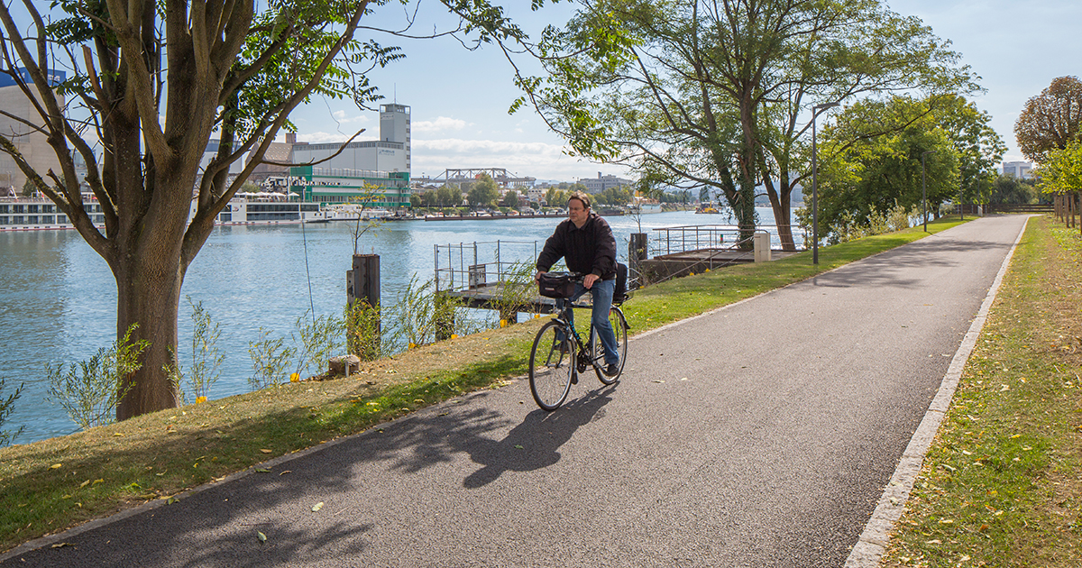 La voie verte cyclable relie à Huningue en berge du Rhin les villes de Bâle et de Weil am Rhein