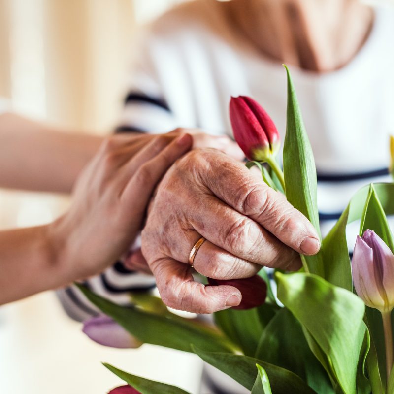 atelier art floral
