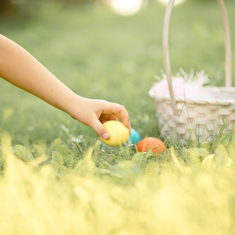 chasse aux oeufs