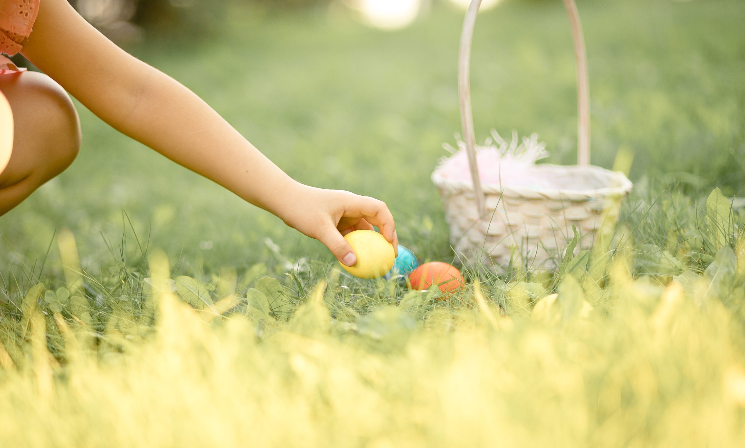 chasse aux oeufs