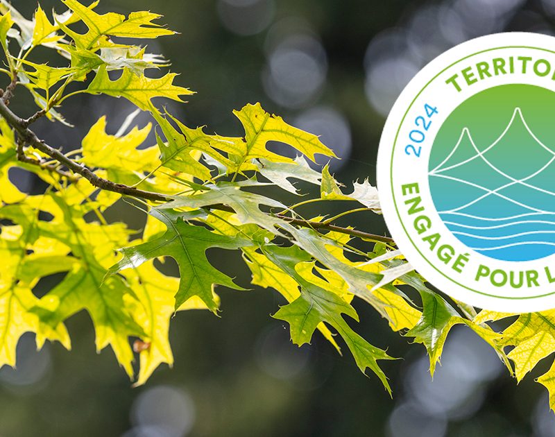 Huningue, Territoire engagé pour la nature 2024-2027