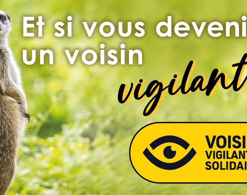 Devenir Voisins Vigilants et Solidaires à Huningue