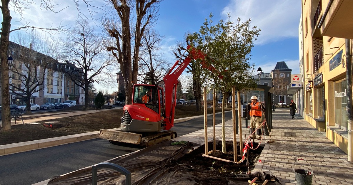 Rue Abbatucci : le temps des plantations