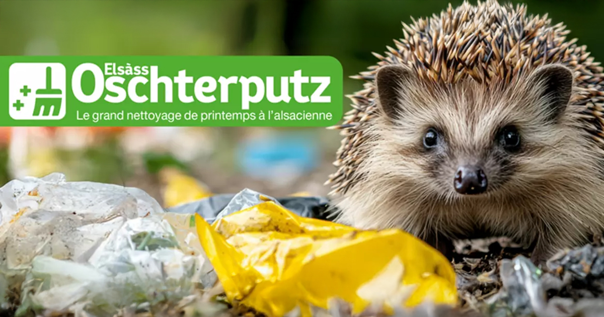 Elsàss Oschterputz : mobilisons-nous pour une ville pr...