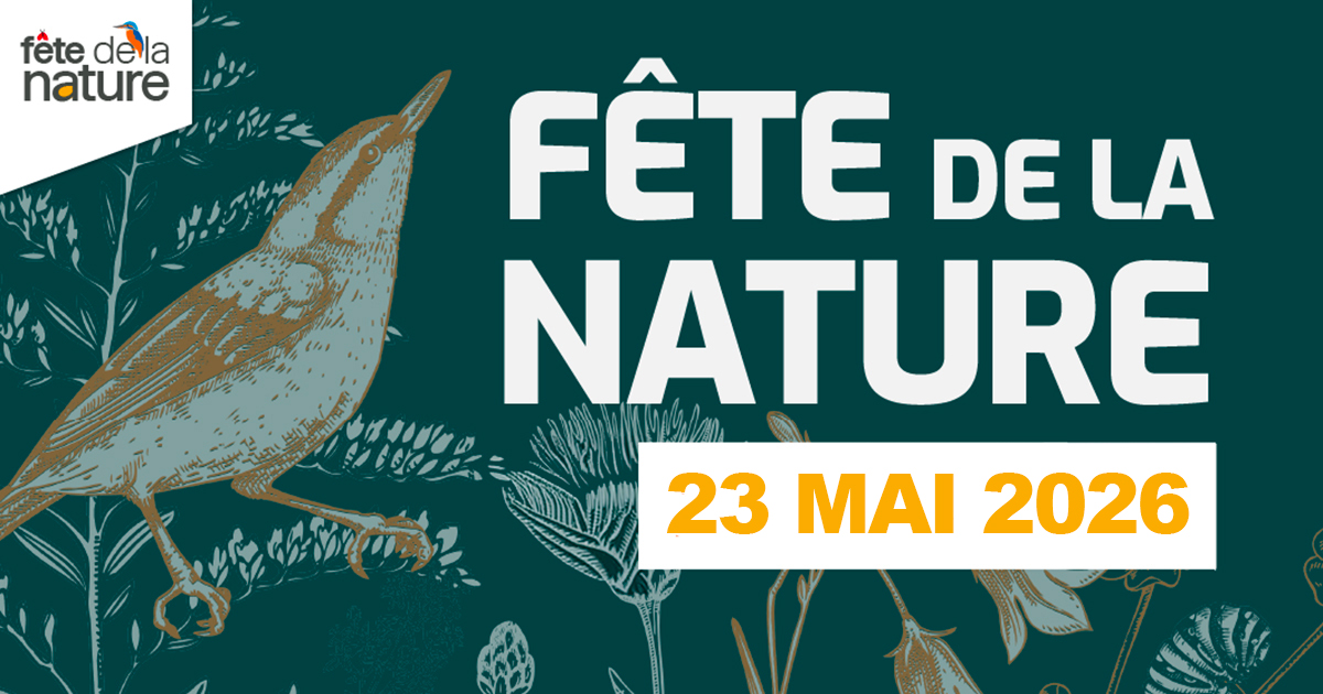 Fête de la Nature / Balade urbaine
