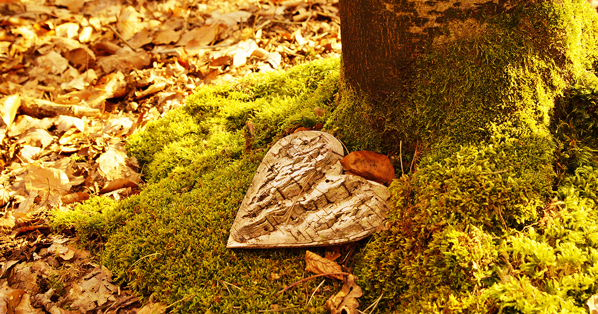 Forêt cinéraire : un nouveau mode d’inhumation à Huningue