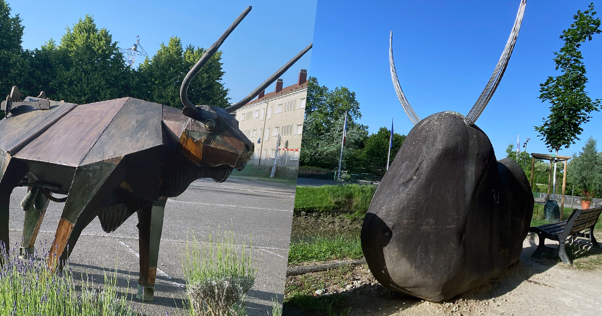 Festival Nature & Culture – Concert des Anima...