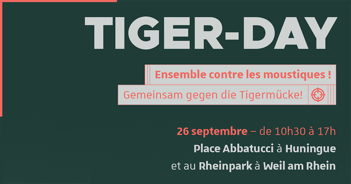 Tiger Day : journée dédiée à la lutte contre le mou...