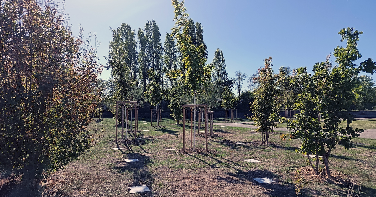 Forêt cinéraire : inauguration d’un nouveau lieu de mémoire et de nature